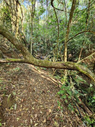 Imagem Imóvel à Venda,  em Centro - Pouso Alegre