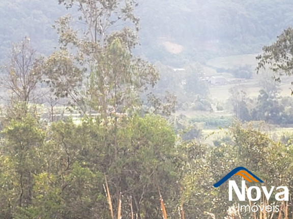Imagem Imóvel à Venda, 120.000 m² em Linha Temerária - Nova Petrópolis Imagem Imóvel à Venda, 120.000 m² em Linha Temerária - Nova Petrópolis