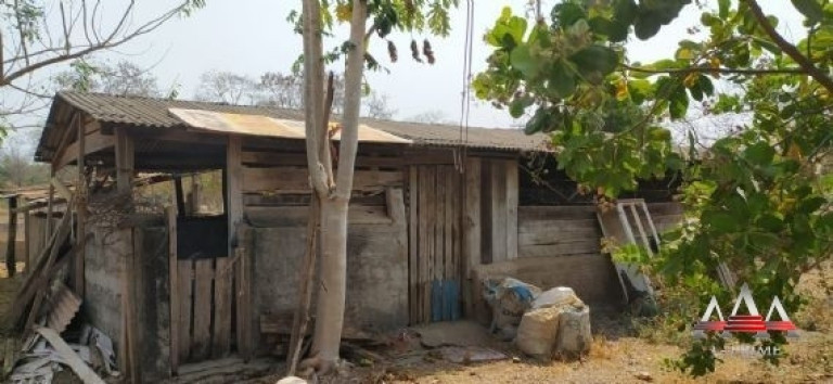 Imagem Chácara com 1 Quarto à Venda, 2.918 m² em Pedra 90 - Cuiabá Imagem Chácara com 1 Quarto à Venda, 2.918 m² em Pedra 90 - Cuiabá