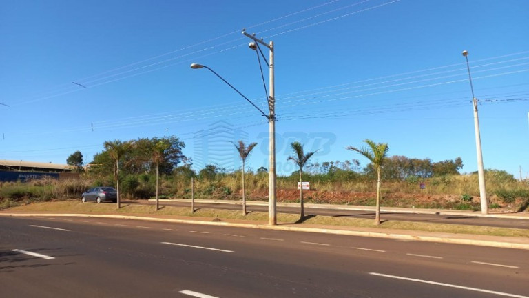 Imagem Terreno à Venda, em Jardim Salgado Filho - Ribeirão Preto Imagem Terreno à Venda, em Jardim Salgado Filho - Ribeirão Preto