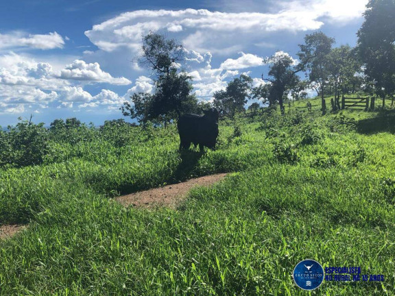 Imagem Fazenda à Venda, 52 m² em Zona Rural - Senador Canedo Imagem Fazenda à Venda, 52 m² em Zona Rural - Senador Canedo