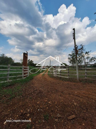 Imagem Imóvel com 3 Quartos à Venda, 21.000 m² em Arura - Conchal