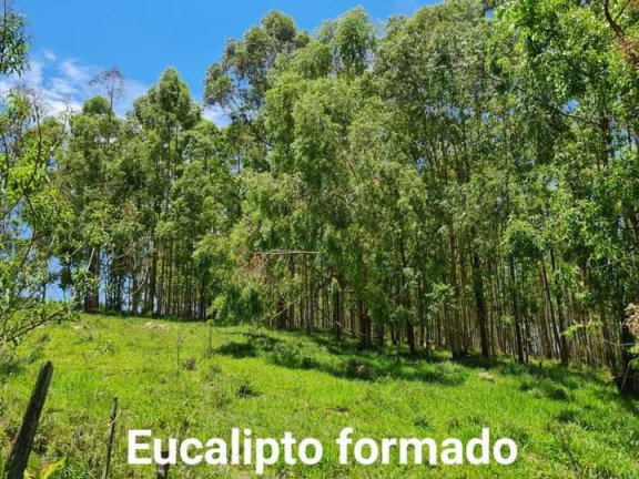 Imagem Chácara à Venda, 10 m² em Rural - Angatuba Imagem Chácara à Venda, 10 m² em Rural - Angatuba