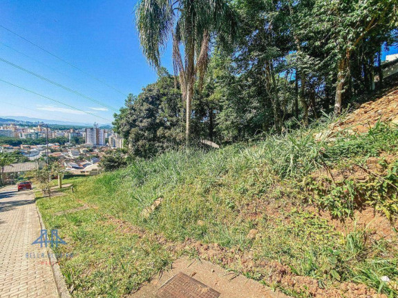 Terreno à Venda, 700 m² em Córrego Grande - Florianópolis