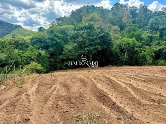 Imagem Terreno à Venda, 1.500 m² em Centro - Toledo