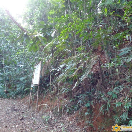 Imagem Terreno à Venda, 1.200 m² em Felix - Ubatuba Imagem Terreno à Venda, 1.200 m² em Felix - Ubatuba