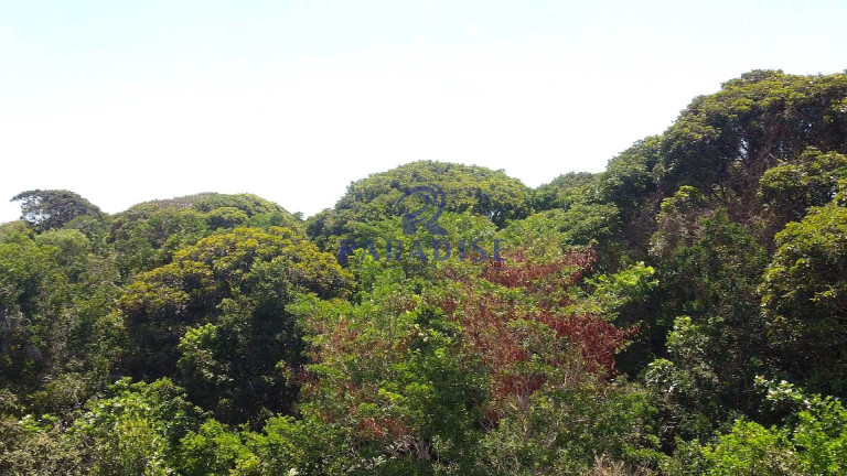 Imagem Terreno à Venda, 2.160 m² em Açu Da Torre - Mata De São João Imagem Terreno à Venda, 2.160 m² em Açu Da Torre - Mata De São João