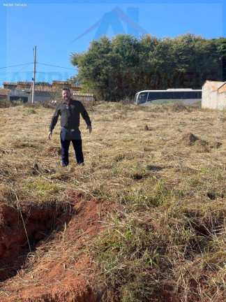 Imagem Terreno à Venda, 1.440 m² em Planalto Imagem Terreno à Venda, 1.440 m² em Planalto