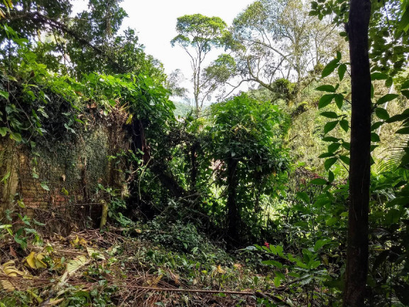 Imagem Terreno à Venda, 900 m² em América - Joinville Imagem Terreno à Venda, 900 m² em América - Joinville