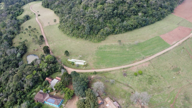 Imagem Chácara com 4 Quartos à Venda, 365.000 m² em Centro - Vale Do Sol