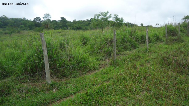 Imagem Fazenda à Venda, 320 m² em Azurita Distrito De Mateus Leme - Mateus Leme Imagem Fazenda à Venda, 320 m² em Azurita Distrito De Mateus Leme - Mateus Leme