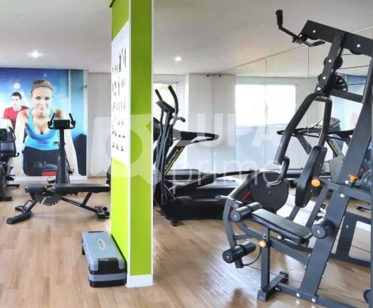 Imagem Apartamento com 3 Quartos à Venda, 70 m² em Vila Maria - São Paulo Imagem Apartamento com 3 Quartos à Venda, 70 m² em Vila Maria - São Paulo