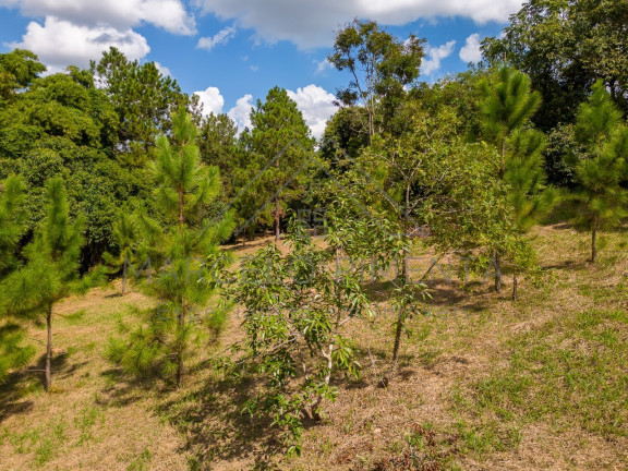 Imagem Terreno à Venda, 21.000 m² em Chácaras Alpina - Valinhos