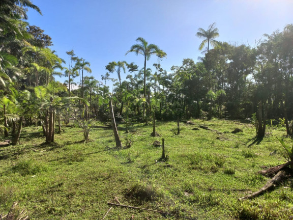 Imagem Terreno à Venda, 9.000 m² em Vila Nova - Joinville Imagem Terreno à Venda, 9.000 m² em Vila Nova - Joinville
