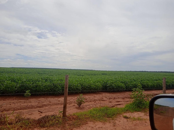 Imagem Fazenda à Venda, 8.100 m² em Rural - Chapadão Do Sul Imagem Fazenda à Venda, 8.100 m² em Rural - Chapadão Do Sul