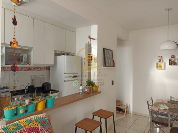 Imagem Apartamento com 2 Quartos à Venda, 47 m² em Residencial Ana Célia - São José Do Rio Preto Imagem Apartamento com 2 Quartos à Venda, 47 m² em Residencial Ana Célia - São José Do Rio Preto