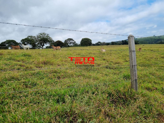 Imagem Imóvel à Venda, 252 m² em 4km Da Cidade - Cruzília Imagem Imóvel à Venda, 252 m² em 4km Da Cidade - Cruzília