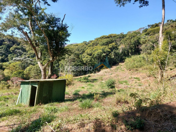Imagem Imóvel com 3 Quartos à Venda, 70.000 m² em Vargem Grande - Teresópolis