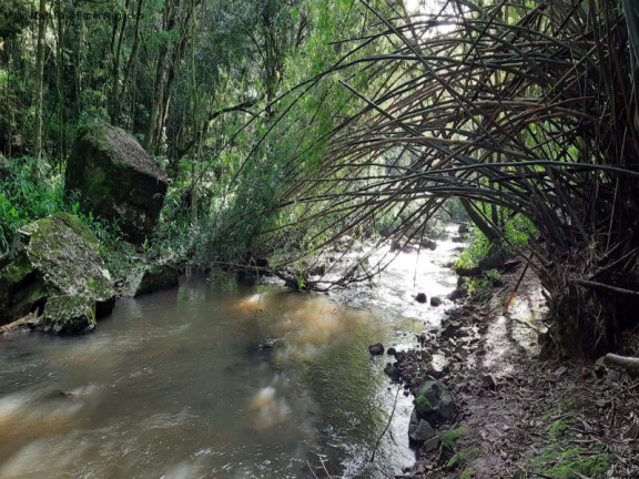 Imagem Terreno à Venda, 3 m² em São Jacó - Nova Petrópolis