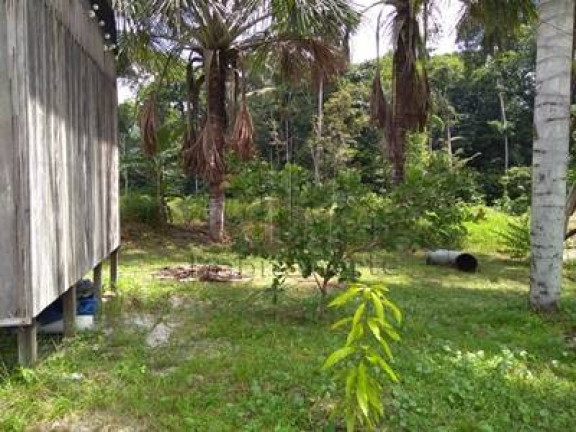 Imagem Chácara com 3 Quartos à Venda, 250 m² em Manaus Imagem Chácara com 3 Quartos à Venda, 250 m² em Manaus