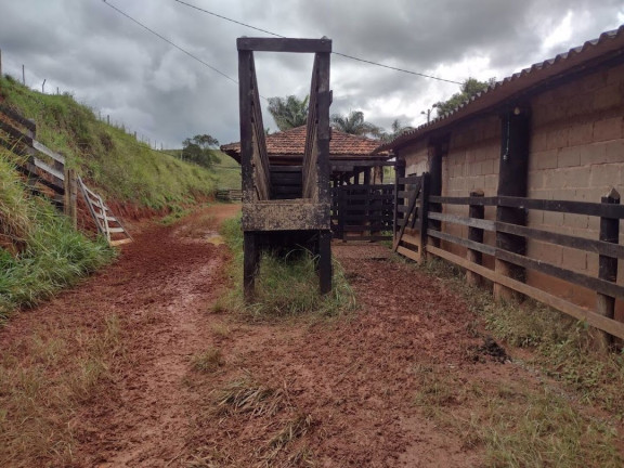 Imagem Fazenda à Venda, 90 m² em Centro - São José Dos Campos Imagem Fazenda à Venda, 90 m² em Centro - São José Dos Campos