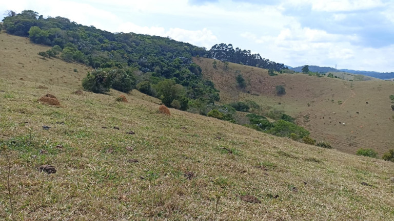 Imagem Chácara com 1 Quarto à Venda, 10 m² em Capim Da Angola - Paraibuna Imagem Chácara com 1 Quarto à Venda, 10 m² em Capim Da Angola - Paraibuna