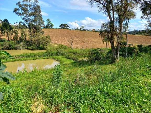 Imagem Imóvel à Venda, 9.075 m² em Zona Rural - Quitandinha Imagem Imóvel à Venda, 9.075 m² em Zona Rural - Quitandinha