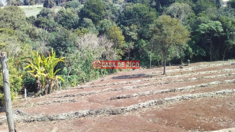 Imagem Imóvel à Venda, 60 m² em Centro - Tamarana Imagem Imóvel à Venda, 60 m² em Centro - Tamarana