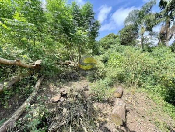 Imagem Terreno à Venda, 907 m² em Vila Santo Antônio - Cotia Imagem Terreno à Venda, 907 m² em Vila Santo Antônio - Cotia
