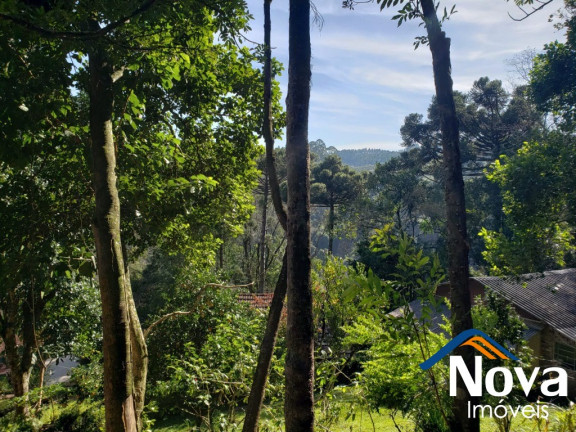 Imagem Imóvel à Venda, 6.862 m² em Vila Olinda - Nova Petrópolis