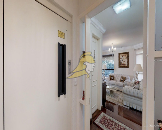 Imagem Apartamento com 4 Quartos à Venda, 160 m² em Vila Suzana - São Paulo Imagem Apartamento com 4 Quartos à Venda, 160 m² em Vila Suzana - São Paulo