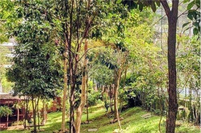 Imagem Apartamento com 4 Quartos à Venda, 208 m² em Vila Suzana - São Paulo Imagem Apartamento com 4 Quartos à Venda, 208 m² em Vila Suzana - São Paulo