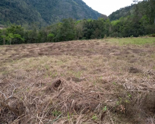 Imagem Imóvel à Venda, em Sebastapol - Nova Petrópolis Imagem Imóvel à Venda, em Sebastapol - Nova Petrópolis