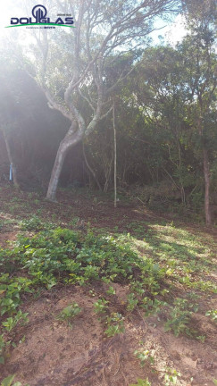 Imagem Chácara com 2 Quartos à Venda, 204.080 m² em Viamão Imagem Chácara com 2 Quartos à Venda, 204.080 m² em Viamão