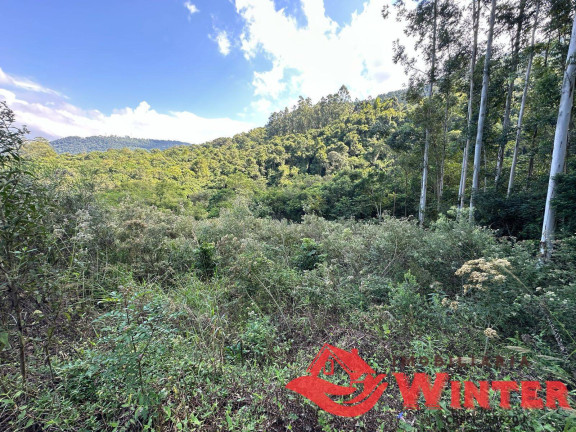 Imagem Terreno à Venda, 2.162 m² em Linha Neis - São Vendelino