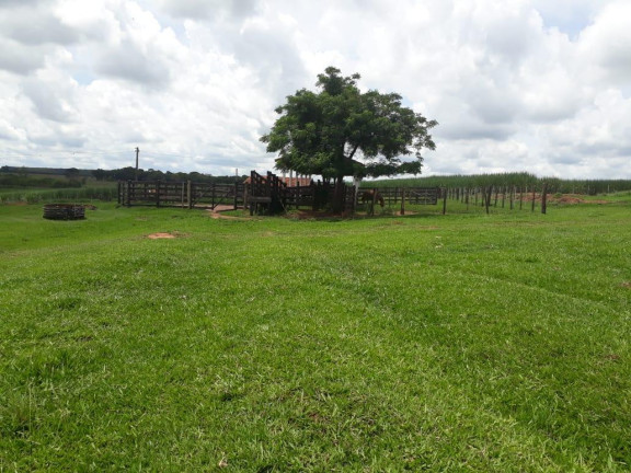 Imagem Fazenda à Venda, 35 m² em Rural - Bauru Imagem Fazenda à Venda, 35 m² em Rural - Bauru