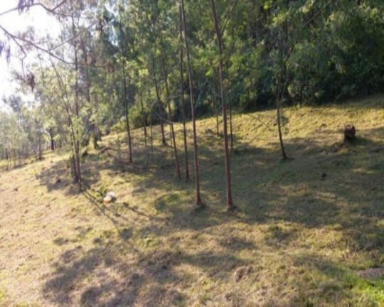 Imagem Terreno à Venda, 3 m² em Fazenda Pirajá - Nova Petrópolis Imagem Terreno à Venda, 3 m² em Fazenda Pirajá - Nova Petrópolis
