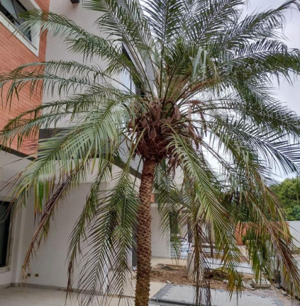 Imagem Casa com 3 Quartos à Venda, 121 m² em Boqueirão - Curitiba Imagem Casa com 3 Quartos à Venda, 121 m² em Boqueirão - Curitiba