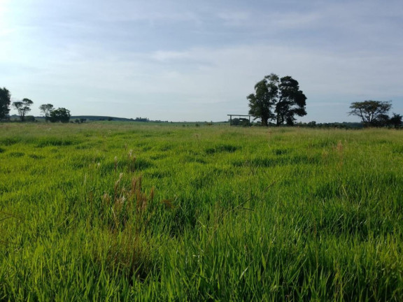 Imagem Chácara à Venda, 16 m² em Rural - Itapetininga Imagem Chácara à Venda, 16 m² em Rural - Itapetininga