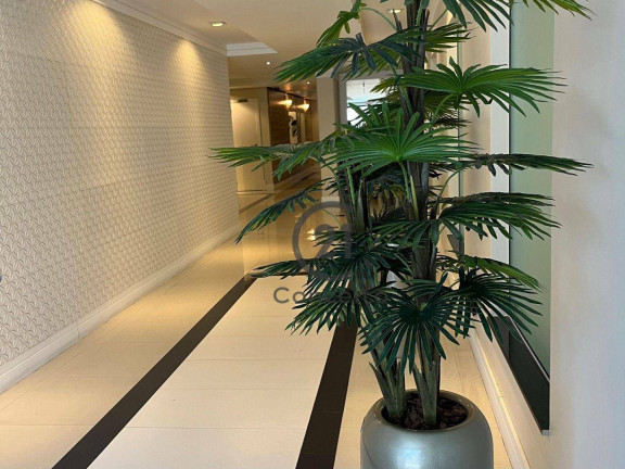 Imagem Apartamento com 2 Quartos à Venda, 74 m² em Kobrasol - São José