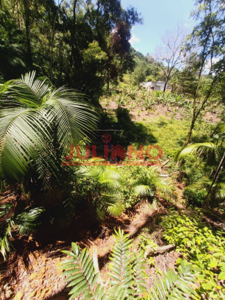 Imagem Chácara à Venda, 13.000 m² em Rio Natal - São Bento Do Sul Imagem Chácara à Venda, 13.000 m² em Rio Natal - São Bento Do Sul