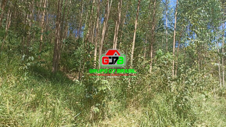 Imagem Chácara à Venda, 10 m² em Zona Rural De Paraibuna - Paraibuna