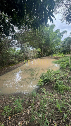 Imagem Chácara com 3 Quartos à Venda, 4 m² em Parque Solimões Ii - Goianira Imagem Chácara com 3 Quartos à Venda, 4 m² em Parque Solimões Ii - Goianira