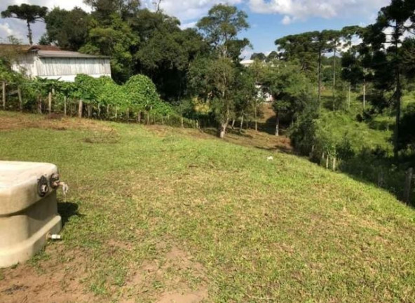 Imagem Terreno à Venda, 1.600 m² em Colonia Murici - São José Dos Pinhais
