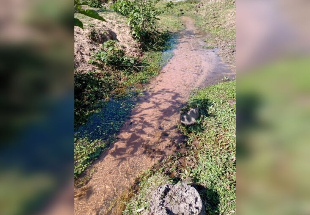 Imagem Terreno à Venda, 121.000 m² em área Rural De Cosmópolis - Cosmópolis Imagem Terreno à Venda, 121.000 m² em área Rural De Cosmópolis - Cosmópolis