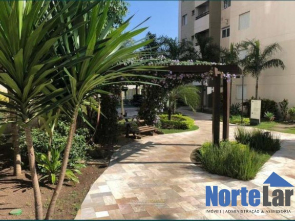 Imagem Apartamento com 2 Quartos à Venda, 50 m² em Limão - São Paulo