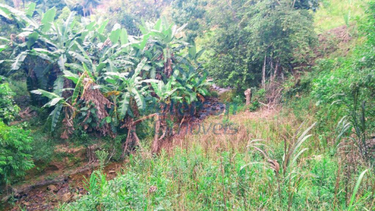 Imagem Chácara à Venda, 20 m² em Tigipió - São João Batista Imagem Chácara à Venda, 20 m² em Tigipió - São João Batista