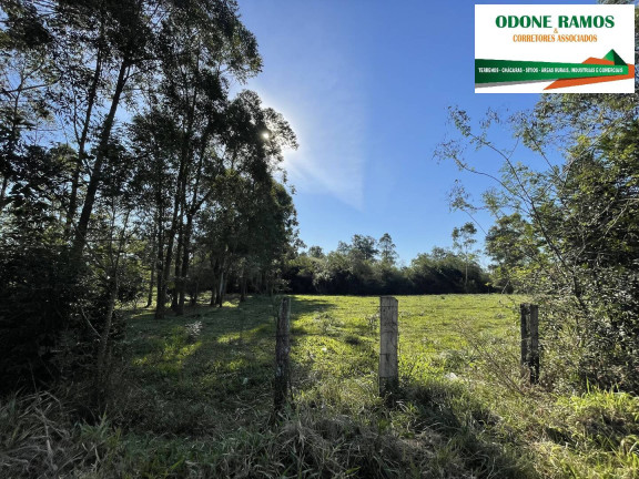 Imagem Chácara à Venda, 4 m² em Nova Santa Rita Imagem Chácara à Venda, 4 m² em Nova Santa Rita