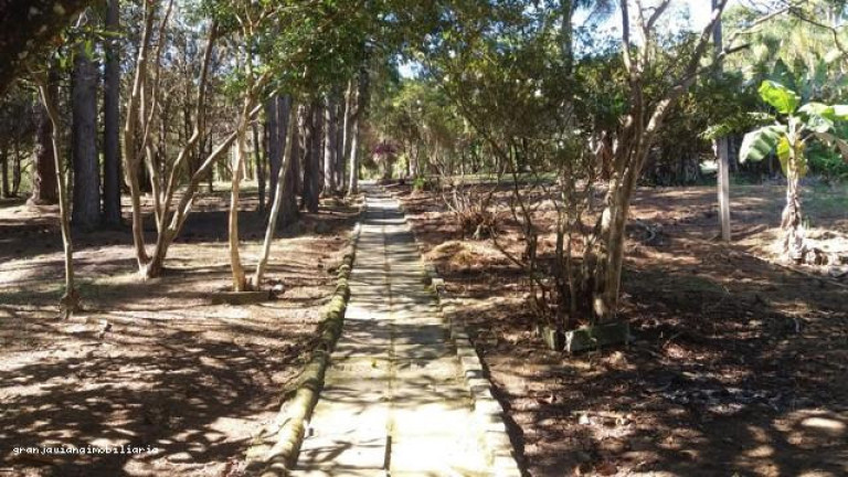Imagem Chácara à Venda,  em Consultar - Ibiúna