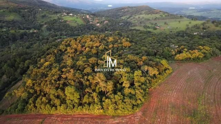 Imóvel com 3 Quartos à Venda, 430.000 m² em Zona Rural - Rio Manso